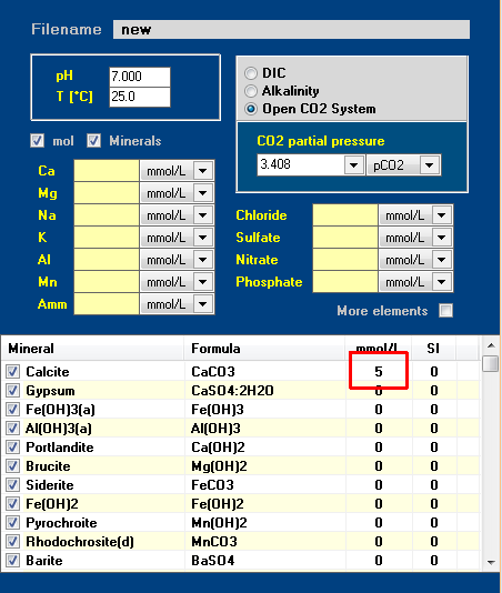 input panel: calcite dissolution in open system
